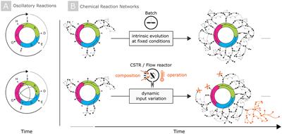 Complex chemical reaction networks for future information processing